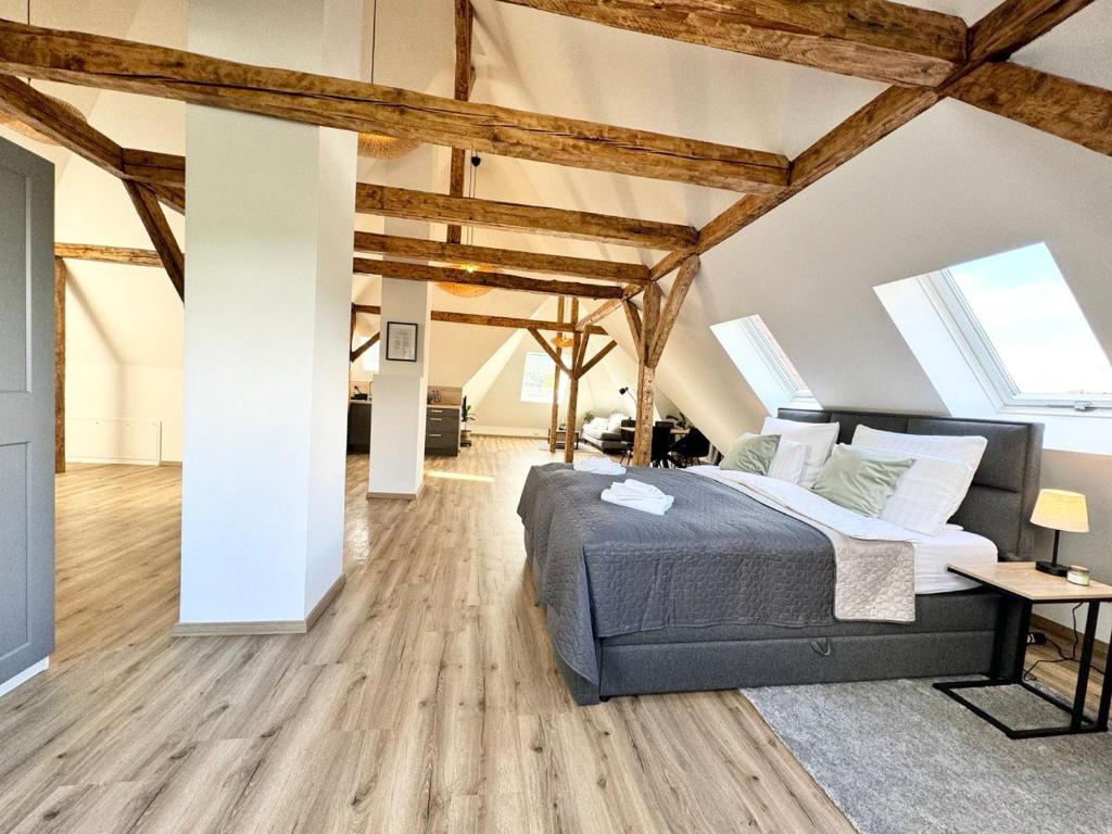QT Apartments Detmold - Soppalco
