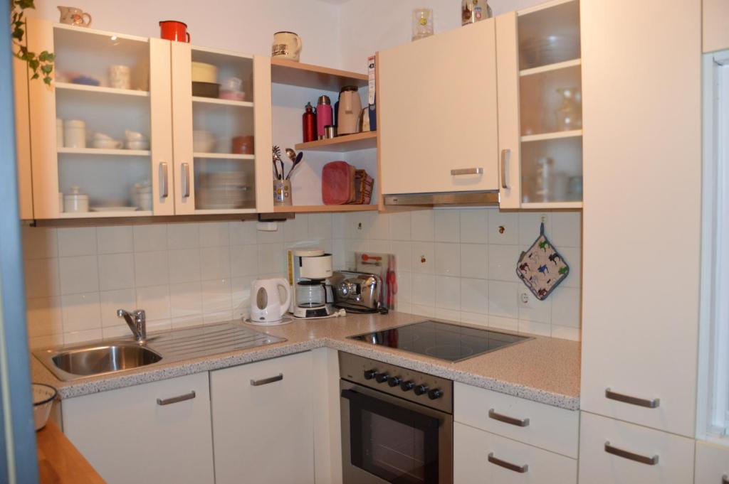 Kuchyň nebo kuchyňský kout v ubytování Grenzberg Appartements