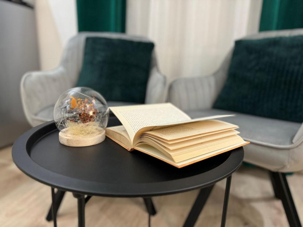 Apartment Luxury B - 10