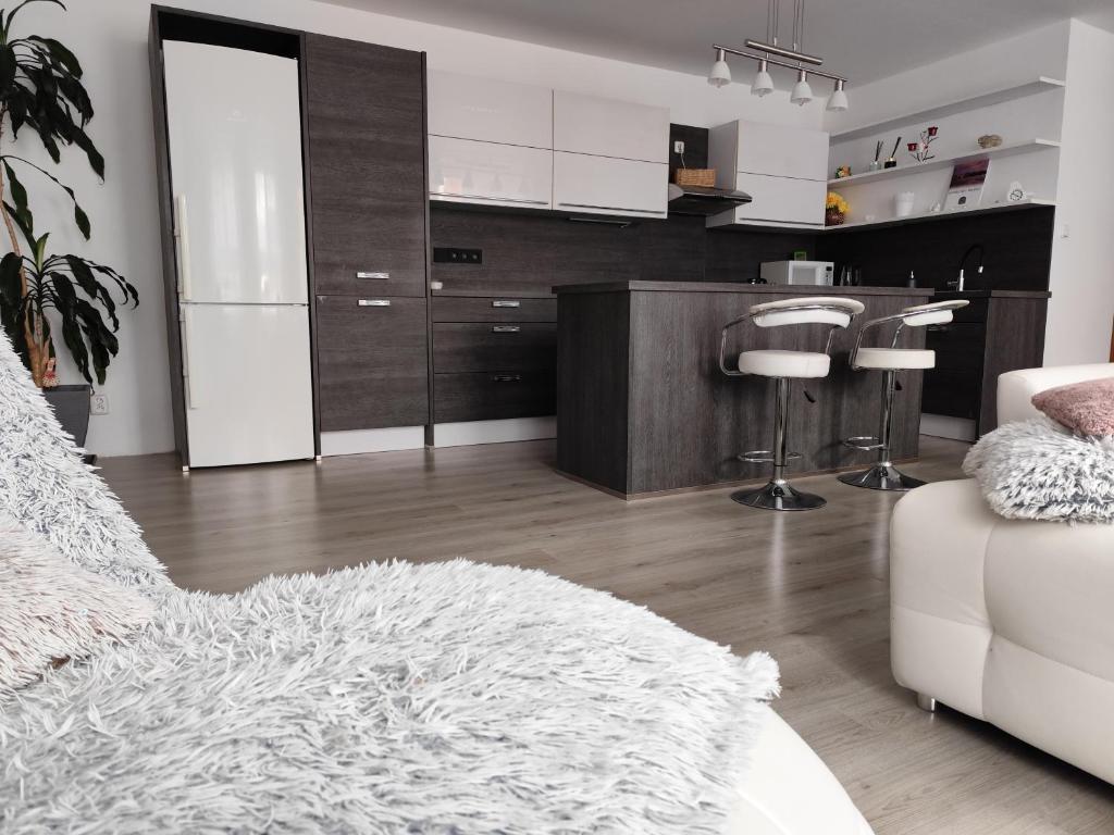 Kuchyň nebo kuchyňský kout v ubytování Apartmán pod věží