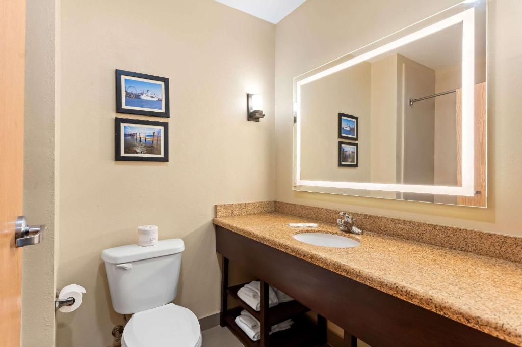 Comfort Suites - King Suite - Non-fumeur