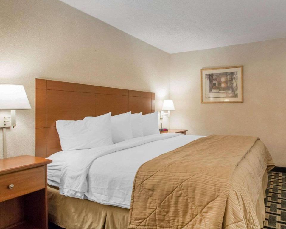Quality Inn & Suites Ridgeland - Habitación Con Cama Extragrande - No Fumadores