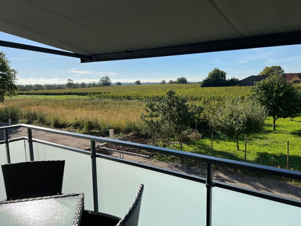 Oasis tout confort à Bergheim, Alsace – photo 6