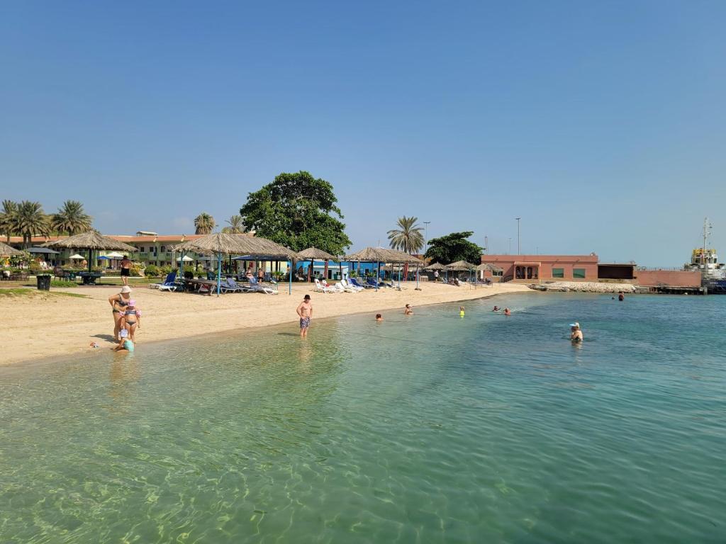 a group of people in the water at a beach at Flamingo Beach Hotel in Umm Al Quwain