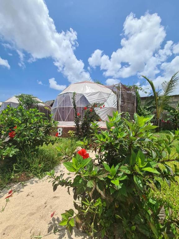 a greenhouse in a field with flowers and plants at Paradise city in Kidoti