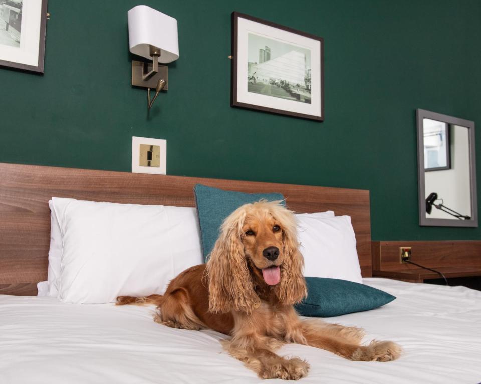 Castlefield Hotel - Resim 44