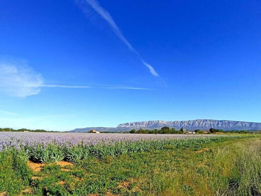 un champ de fleurs violettes avec des montagnes en arrière-plan dans l'établissement Grand T2, RDC avec jardin, à Trets