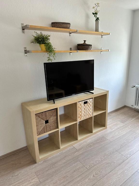 a flat screen tv on a stand in a living room at Ferienwohnungen Dörte & Stella Hof Saale in Hof