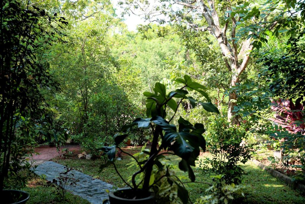 Zahrada ubytování The Cattleya Guest House Sigiriya