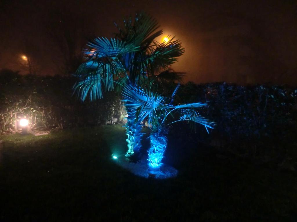 Ogród w obiekcie Residence Elisa Piano Terra con Giardino e Posto Spiaggia Incluso