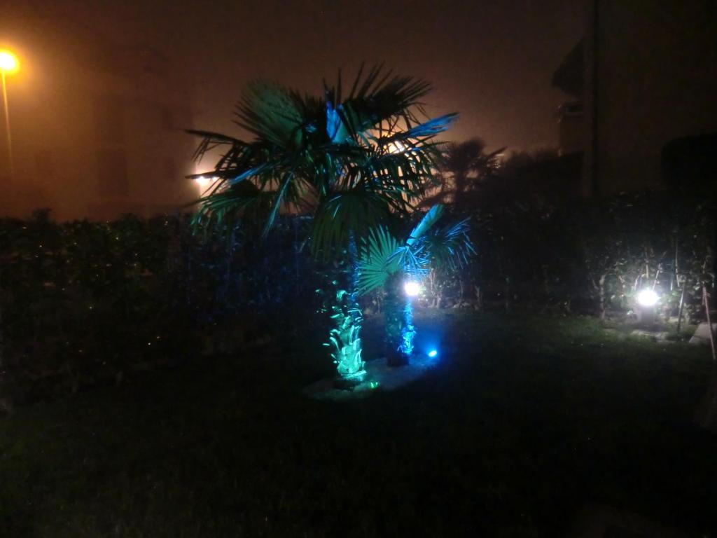 Ogród w obiekcie Residence Elisa Piano Terra con Giardino e Posto Spiaggia Incluso