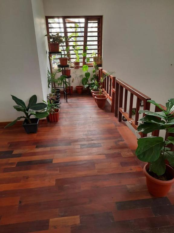 a hallway with potted plants and a wooden floor at Shruthi's Aarohi-Nature's Retreat Homestay in Kannur