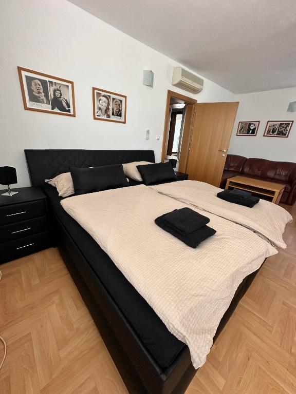 Hotel Muza - Resim 4