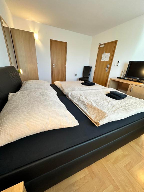 Hotel Muza - Resim 11