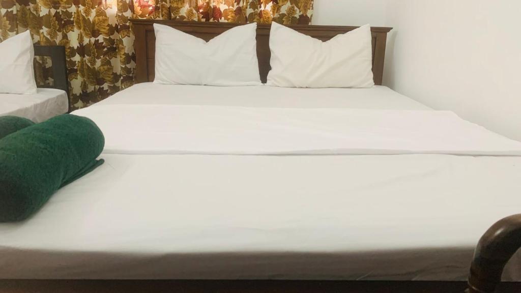 Postel nebo postele na pokoji v ubytování Elysian home villa