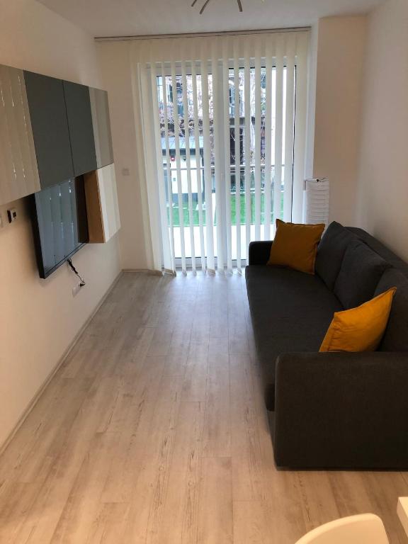 Televízia a/alebo spoločenská miestnosť v ubytovaní Elite Green Apartments
