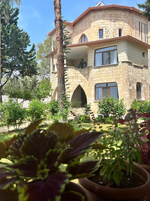 Zahrada ubytování Casalita Hotel
