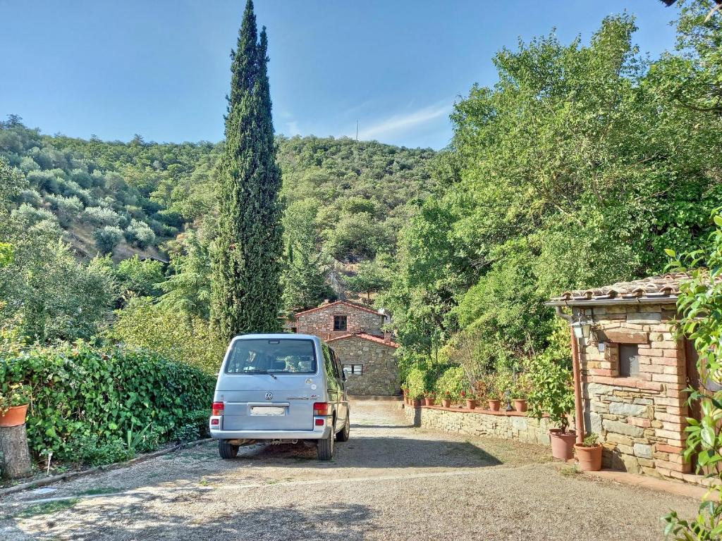 Príroda v okolí of the country house