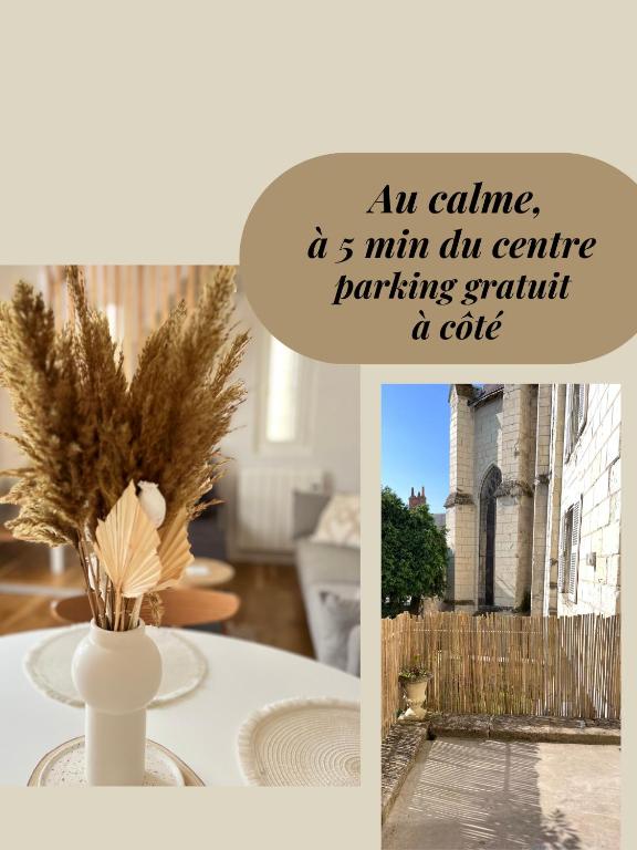an estate is within an entire furnitureantantantantantantantantant at Le Jeanne, appartement en duplex proche forteresse et centre ville in Chinon
