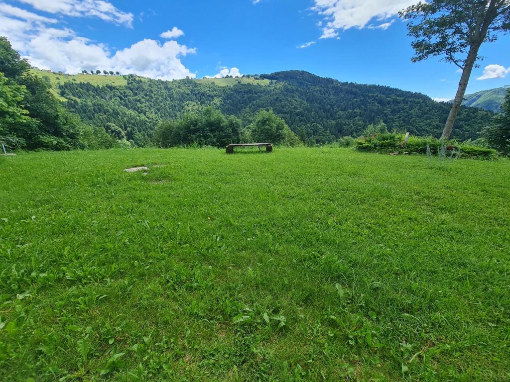 Příroda nedaleko apartmánu