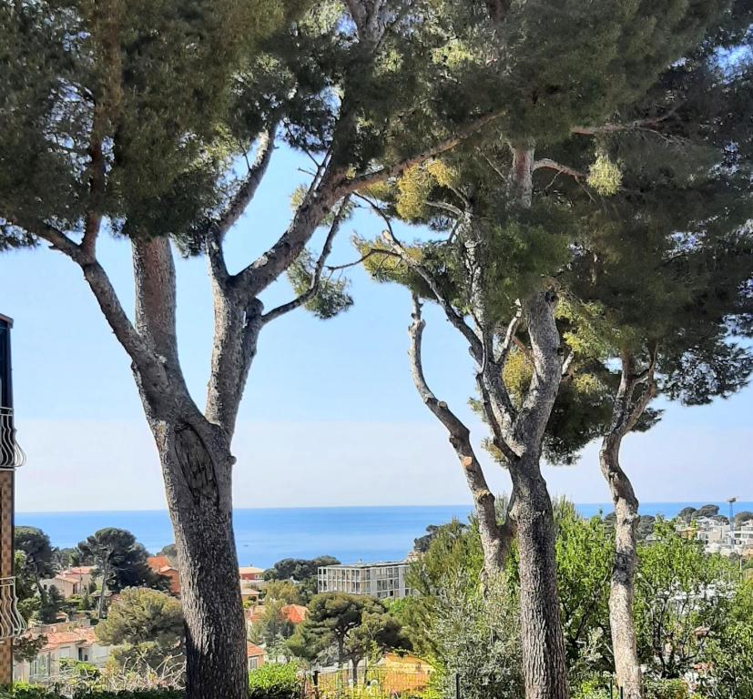 a view of the ocean through trees at Maison bord de Mer au calme sous les Pins in Carry-le-Rouet