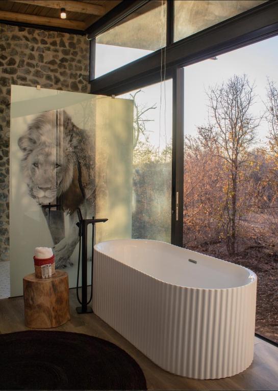 Fotografie z fotogalerie ubytování Umoya Safari Lodge v destinaci Matlhagame