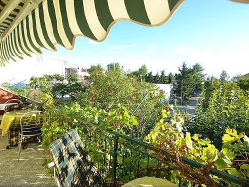 Fotografie z fotogalerie ubytování Apartments Dragica v destinaci Starigrad-Paklenica