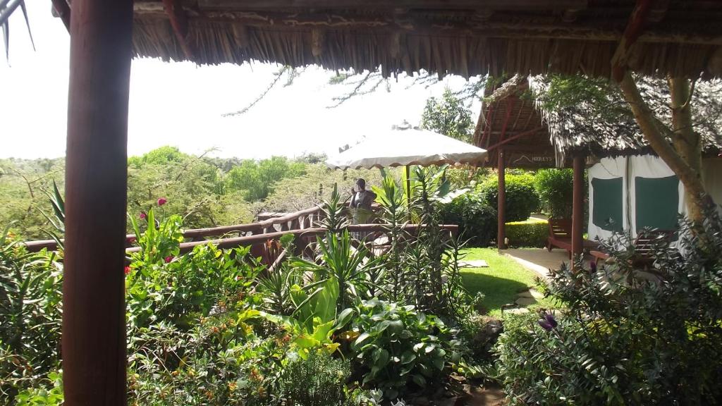Zahrada ubytování Buffalo's Rest Greenpark-Naivasha