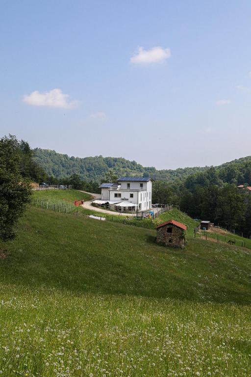 a large field of grass with a house in the background at Casa Colet in Frabosa Sottana