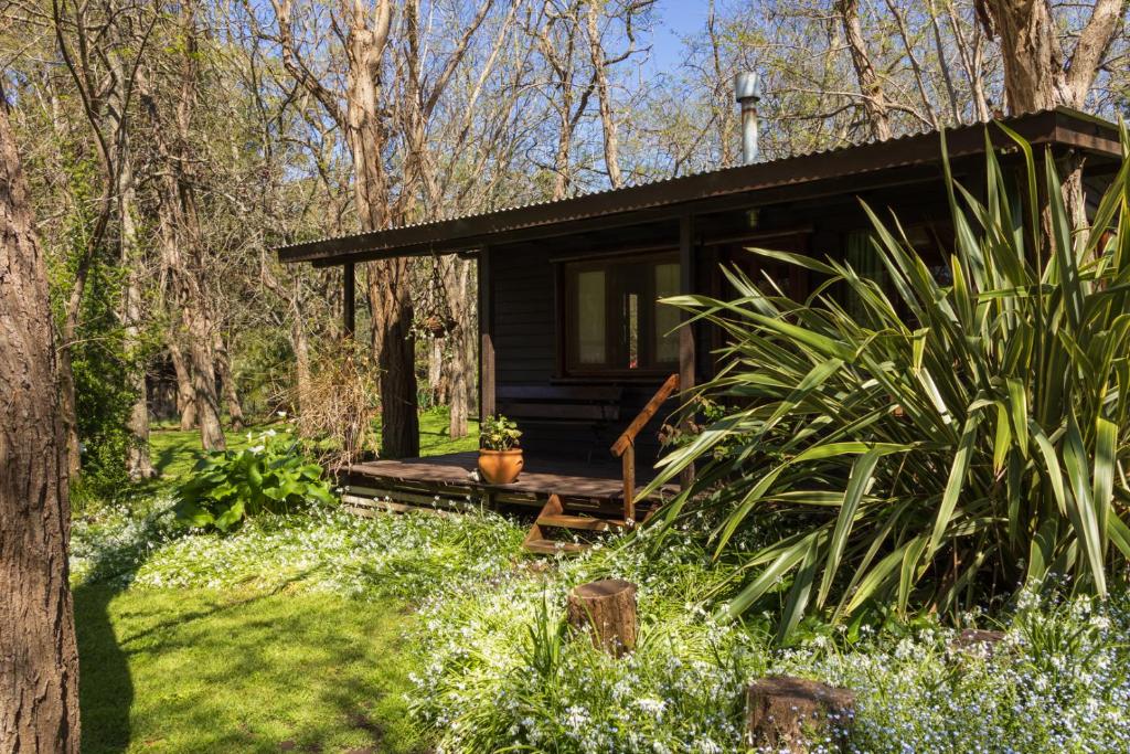 Villa Residencial Laguna BravaにあるLa Casitaの植物のある森の中の小さな黒い小屋