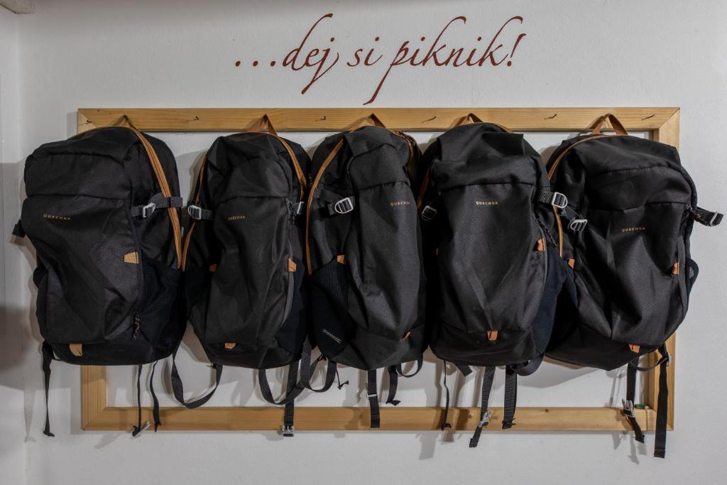 Fotografie z fotogalerie ubytování Penzion Lederer v destinaci Dolní Dunajovice