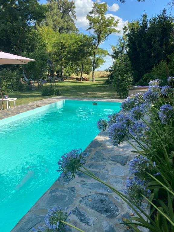 Una piscina con flores azules al lado. en Laureles, en Zenón Videla Dorna