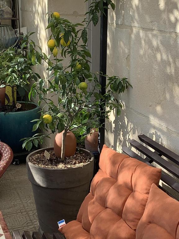 Posezení v ubytování Chambre d'Hôtes Lo Componaïro