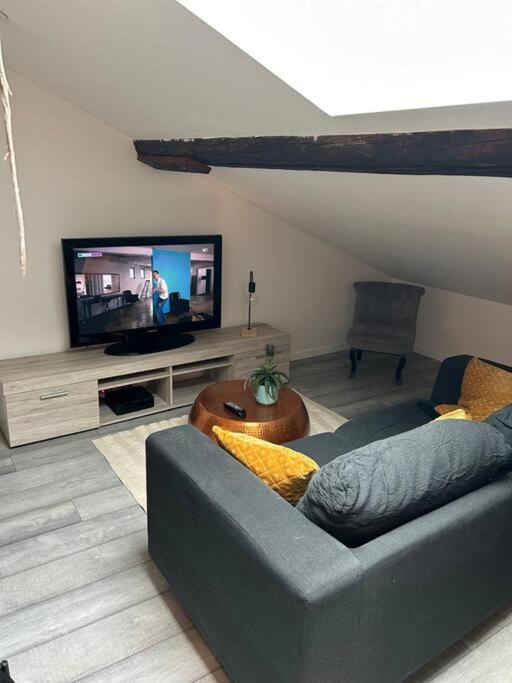 un salon avec un canapé et une télévision à écran plat dans l'établissement Studio Metz centre & gare, à Metz