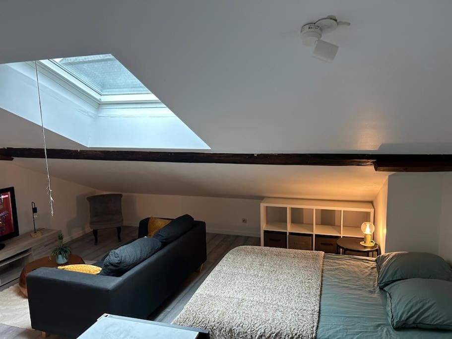 un salon avec un lit et une lucarne dans l'établissement Studio Metz centre & gare, à Metz