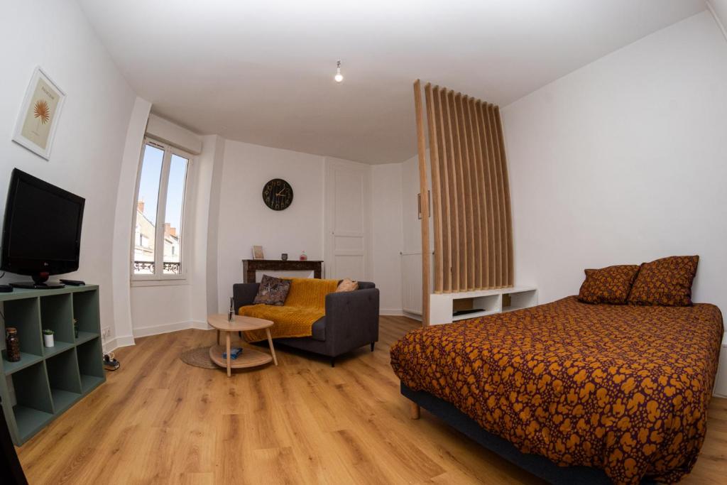 une chambre avec un lit, une chaise et une télévision dans l'établissement Gare & Sérénité au Mans, au Mans