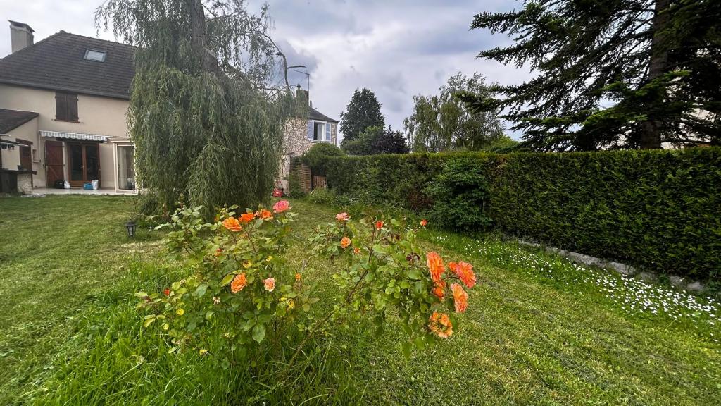 Jardin de l'établissement La nébuleuse