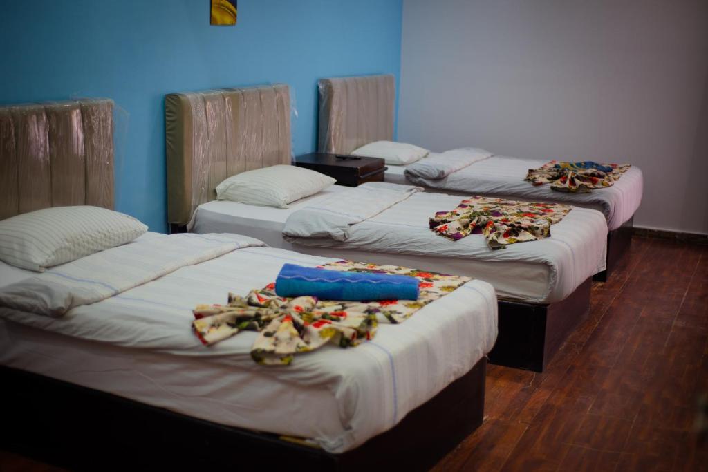 Postel nebo postele na pokoji v ubytování Nile sky hotel and suites