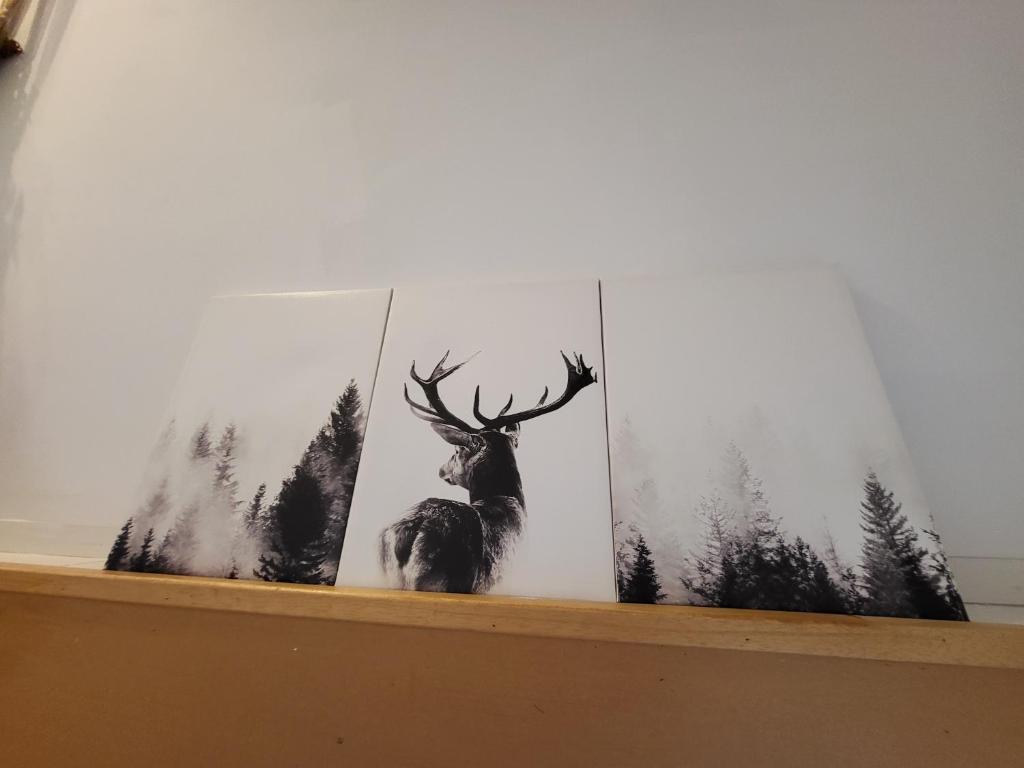 Fotografie z fotogalerie ubytování Le Grand Cerf gîte citadin v destinaci Saint-Hubert