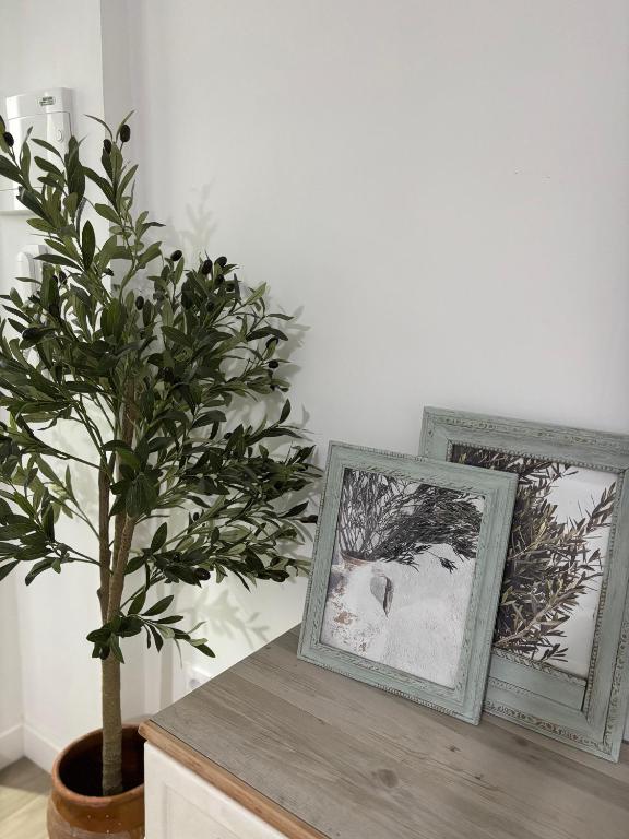 a potted tree sitting on a table next to two pictures at El Olivo Verde in Jaén