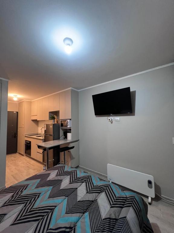 Departamento central, Pitrufquén