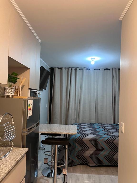 Departamento central, Pitrufquén