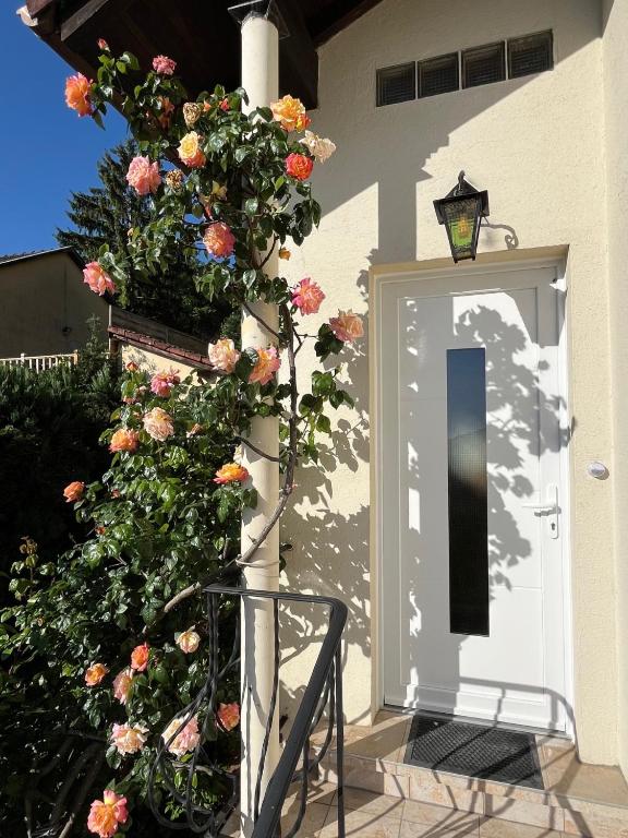 Gîte les Rosiers du Blosen – photo 44