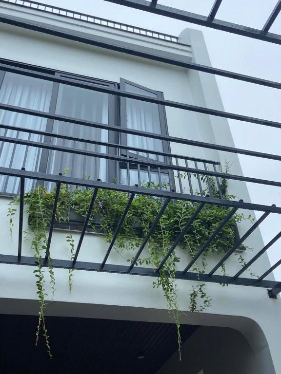 Balkón nebo terasa v ubytování LavA homestay