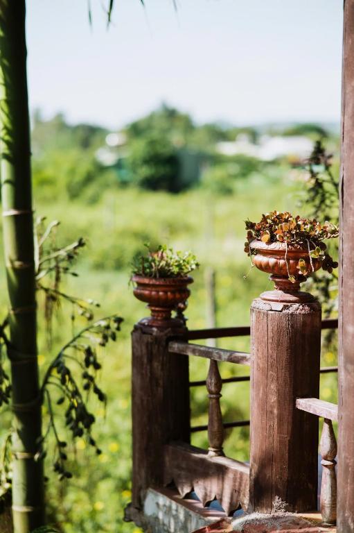 Zahrada ubytování Homestay Pleiku Phố