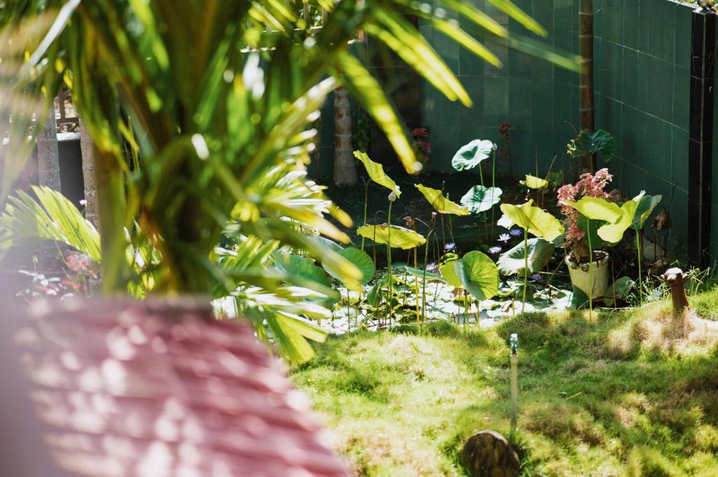 Zahrada ubytování Homestay Pleiku Phố