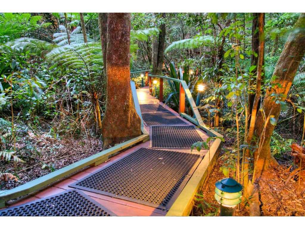 The Mouses House Rainforest Retreat, Springbrook (updated prices 2025)