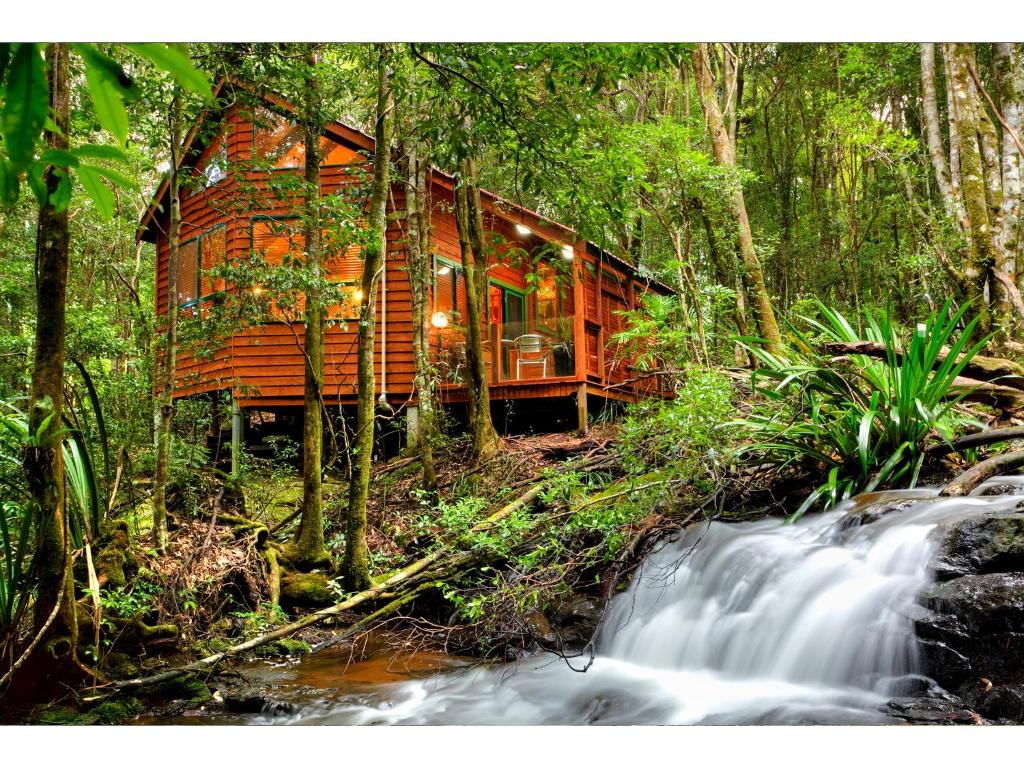 a cabin in the woods next to a waterfall at The Mouses House Rainforest Retreat in Springbrook