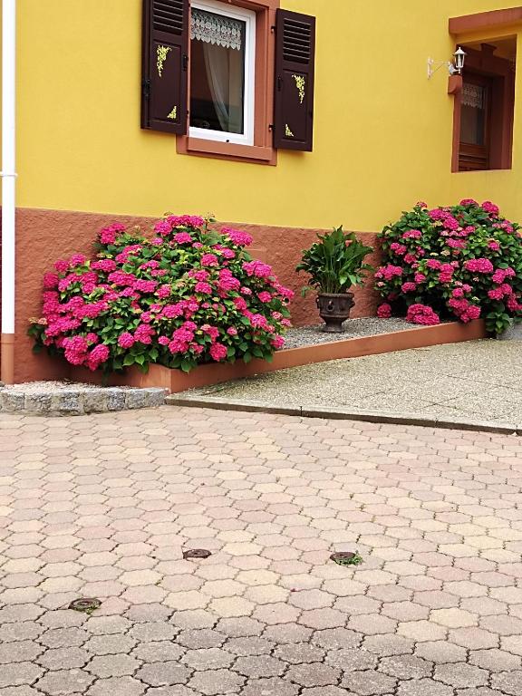 un bâtiment avec des fleurs roses devant une fenêtre dans l'établissement maison louis, à Sondernach