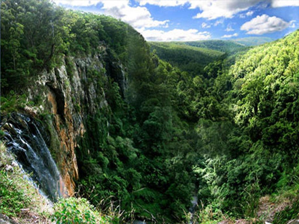 The Mouses House Rainforest Retreat, Springbrook (updated prices 2025)